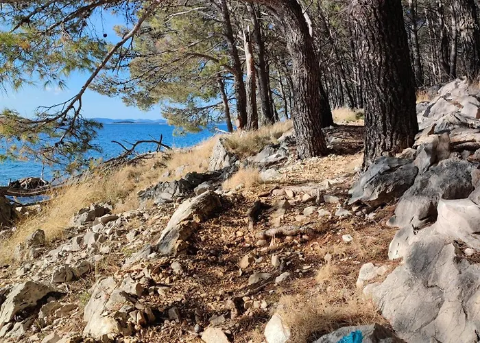 Mobile Therapy * Drage