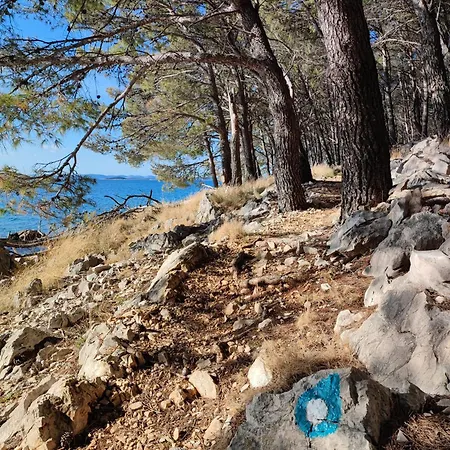 Mobile Therapy * Drage